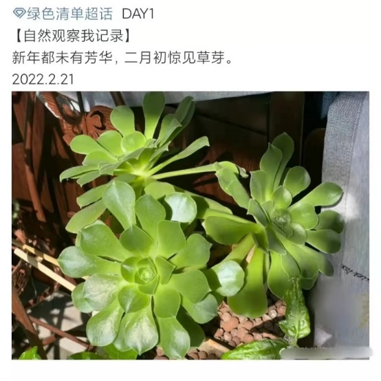 1701060945681.png