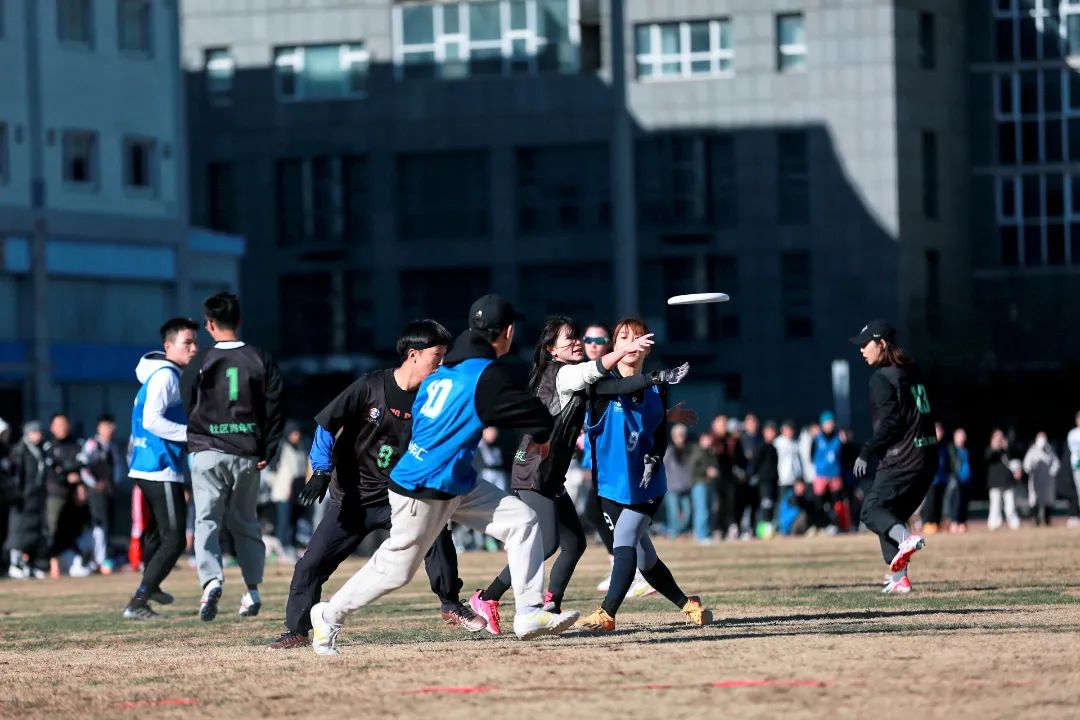 1702261327351.jpg