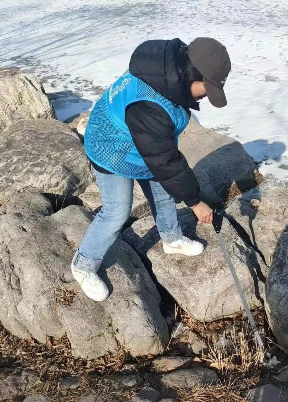 1710226663995.jpg