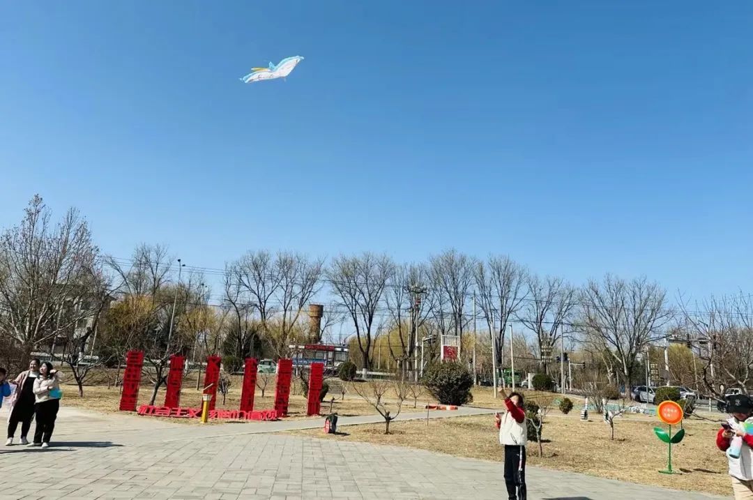 1710903241951.jpg